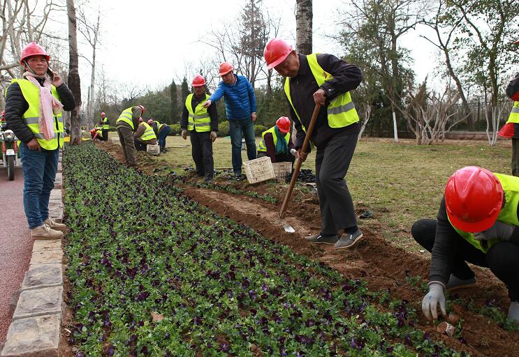 ��ʱK66_��ʱK66��(�й���)�ٷ���վ